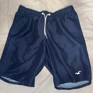 Hollister Mens Swim Trunks
